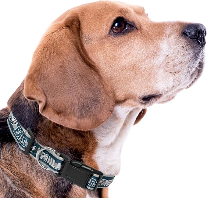 NFL PET Collar Philadelphia Eagles Dog Collar, X-Large Football Team Collar for Dogs & Cats. A Shiny & Colorful Cat Collar & Dog Collar Licensed by The NFL