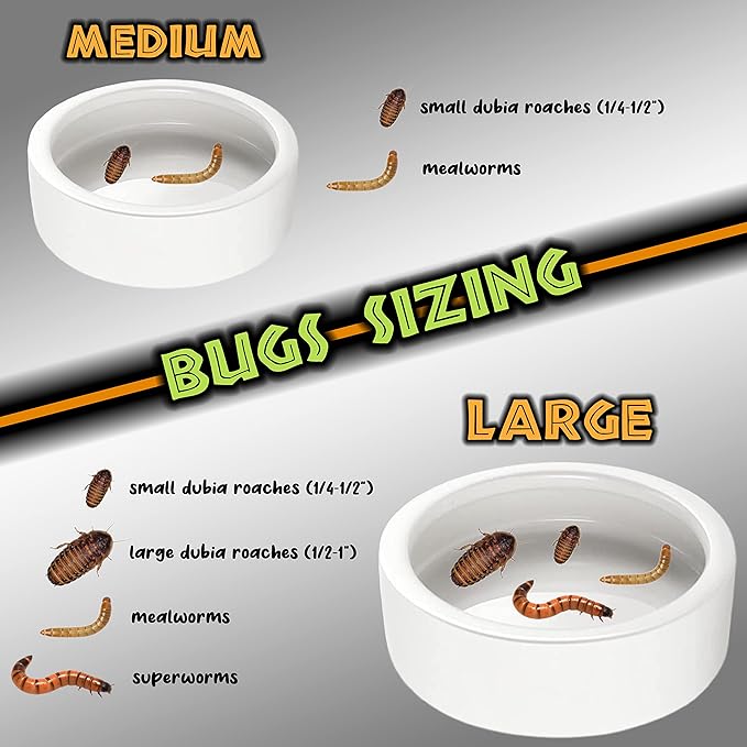 Reptile Food Dish Bowl - Anti-Escape Ceramic Worm Water Dish Feeder for Mealworm, Superworm, Dubia Roaches, Lizard, Leopard Gecko, Bearded Dragon, Chameleon, Skink, Tegu, Snake (Large, White)