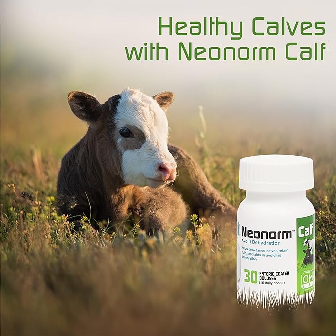 Jaguar Animal Health Neonorm Calf - Enteric Coated Supplement Boluses for Proper Hydration & Bowel Health - Plant-Based Product for Pre-Weaned Calves (30 Count)