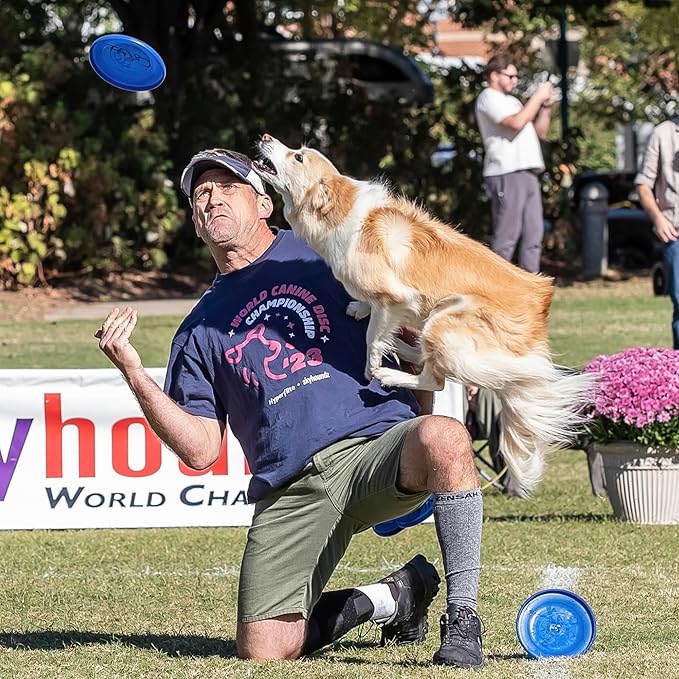 Hyperflite Pup Jawz dog flying disc • world's toughest canine competition-approved flying disc • best competition flying disc toy for pets • puncture resistant • 7 Inch • Blueberry