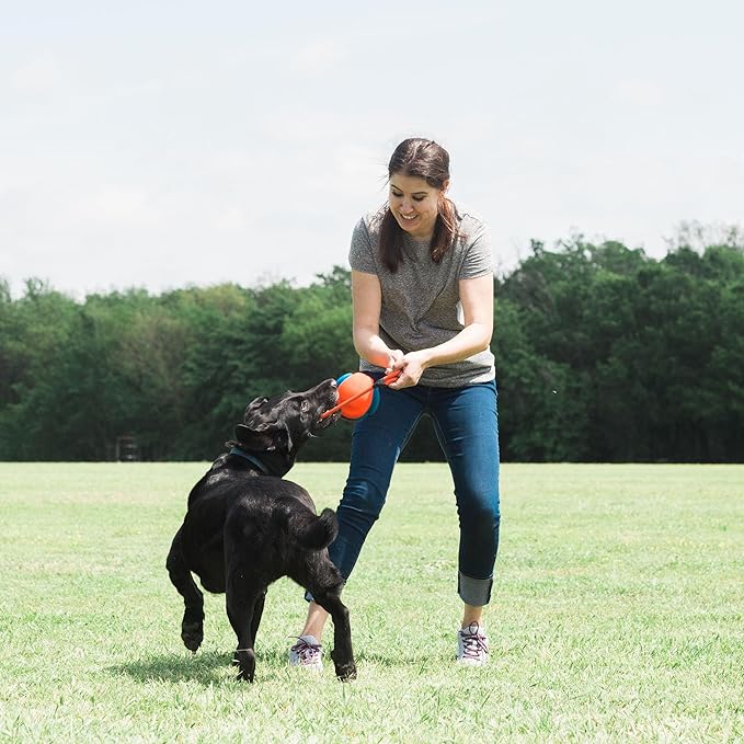 Chuckit Rope Fetch Dog Toy, Indoor and Outdoor Dog Toy, Pack of 1