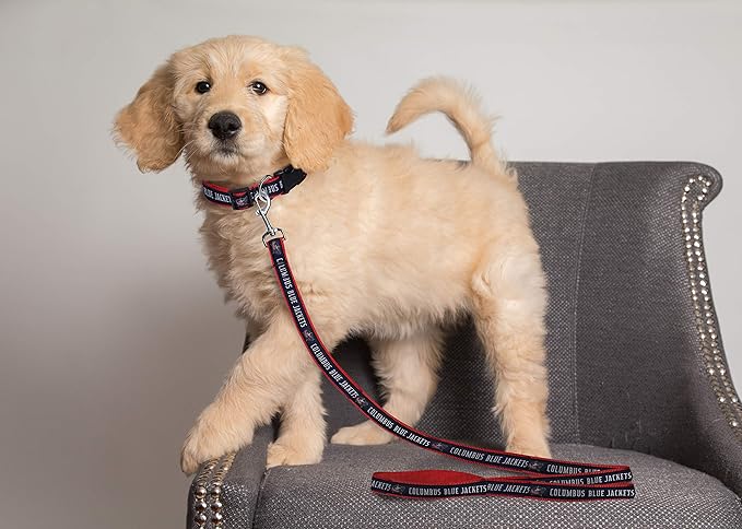 Pets First NHL Columbus Blue Jackets Leash for Dogs & Cats, Medium. - Walk Cute & Stylish! The Ultimate Hockey Fan Leash!, Medium (4 ft Long x 0.62 in Width) (CBJ-3031-MD)