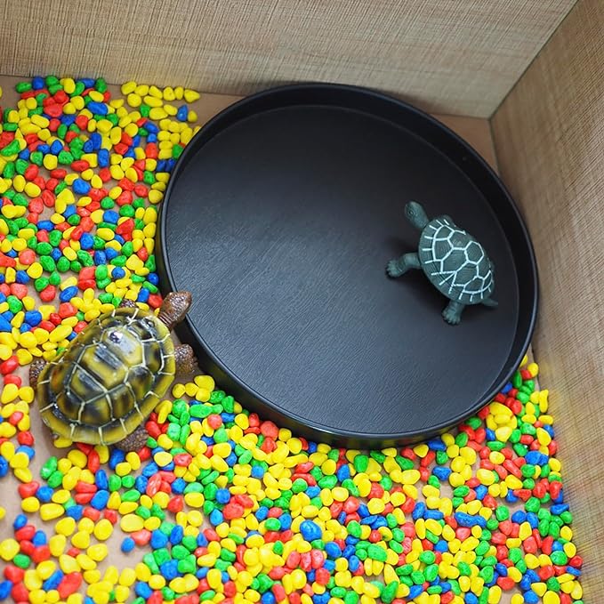 OMEM Reptile Food Bowl Water Dish,Feeding Dish, Birds Bowl (M, Black)