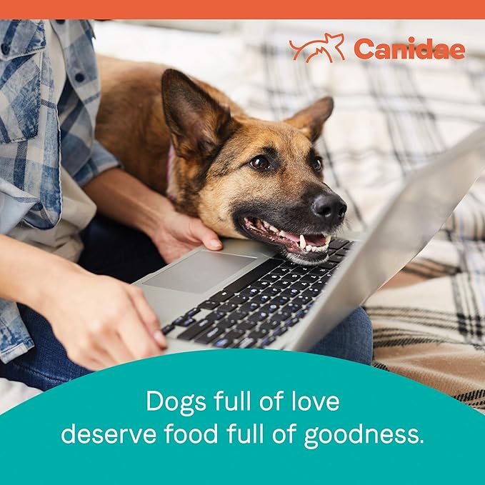CANIDAE Pure PUPPY Real Salmon & Oatmeal Recipe Dry Dog 4 LB
