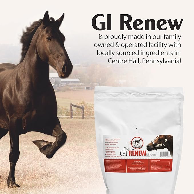 GI Renew, Probiotics for Equine, Immune and Appetite Stimulation, Prebiotics, Digestive Enzymes | Horse Supplement Providing Ulcer Relief and Organic Toxin Binder, 5 LB Pouch