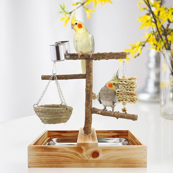 Mogoko Natural Bird Playground Bird Perches, Bird Cage Accessories, Bird Toys Playground, Bird Perch Stand Parrot stand, includes 2 Stainless Steel Cups and Removable Tray