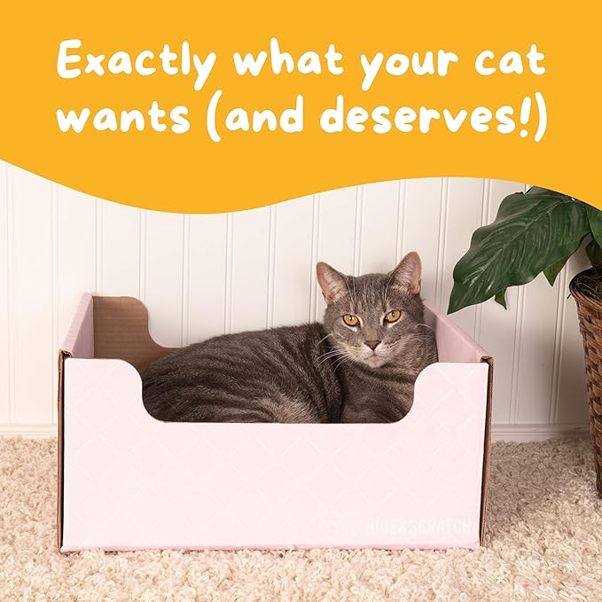 Hide & Scratch Extra-Large Heavy Duty Cardboard Cat Scratcher Box and Cat Bed with Refillable Scratch Pad