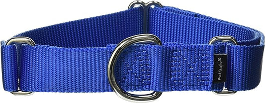 PetSafe Adjustable Martingale Collar - Only Tightens When Dogs Pull, Prevents Slipping Out - Helps with Strong Pullers, Increased Control - Alternative to Choke Collar - 1", Medium, Royal Blue