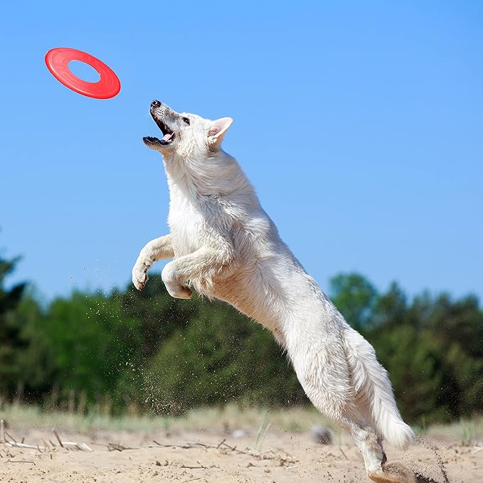 Nerf Dog Atomic Flyer Dog Toy, Flying Disc, Lightweight, Durable and Water Resistant, Great for Beach and Pool, 10 inch diameter, for Medium/Large Breeds, Single Unit, Red, one-size-for-most