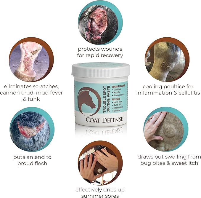 COAT DEFENSE Trouble Spot Drying Paste for Horses - Natural Equine Wound Care That Provides Safe & Effective Relief from Scratches, Sweet Itch, Summer Sores, Proud Flesh, Mud Fever, Girth Rot (24 Oz)