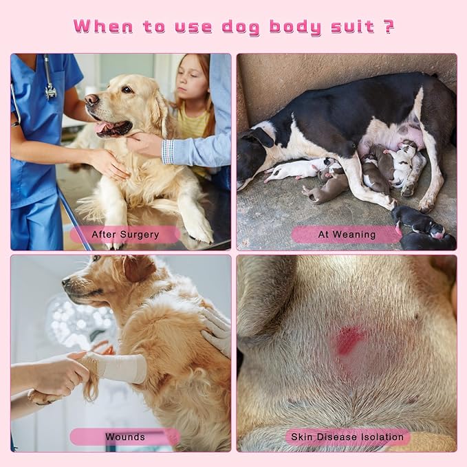 Dog Surgery Recovery Suit 2 Packs, Professional Pet Recovery Shirt Dog Abdominal Wounds Bandages for Male Female Pet Surgical Snugly Suit After Surgery Anti-Licking Dog Onesies XXL