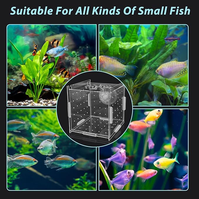 PINVNBY Acrylic Fish Breeding Box，Guppy breeding Box Acrylic Fish Isolation Box Aquarium Incubator with Suction Cups for Guppy Shrimp Small Baby Fishes（3.9 * 3.9 * 3.9 in）