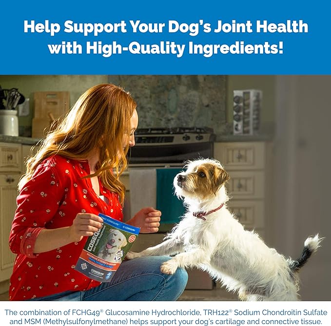 Nutramax Laboratories Cosequin Maximum Strength Joint Health Supplement for Dogs - With Glucosamine, Chondroitin, and MSM, 60 Chewable Tablets