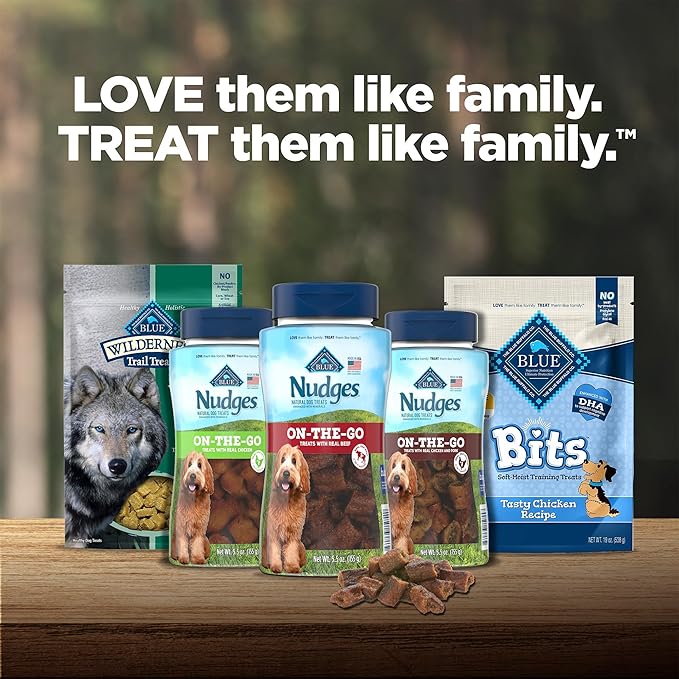 Blue Buffalo Nudges Bite-size Chewy Dog Treats with Real USA Beef, Made with Natural Ingredients, Great for On-the-Go, 5.5-oz. Container