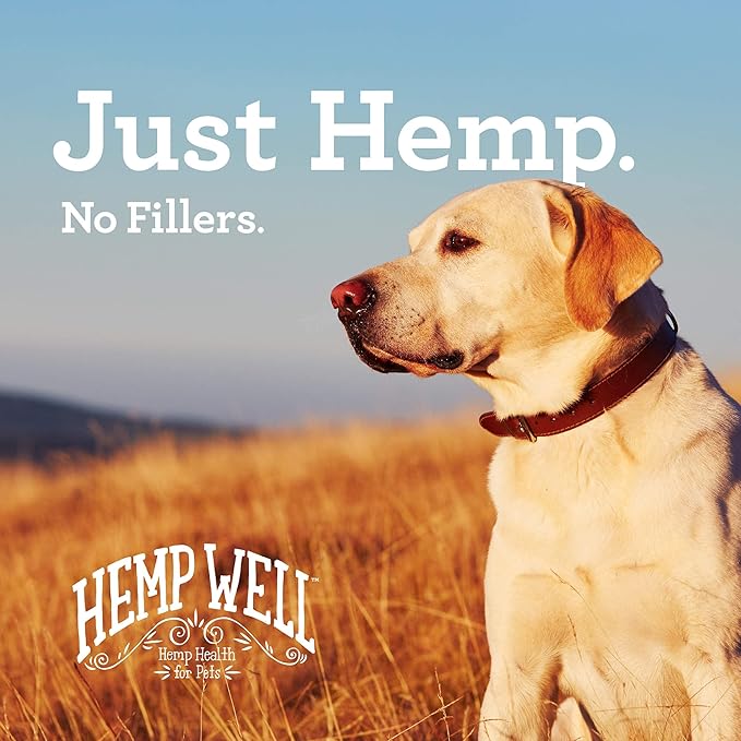 Hemp Well Hemp Thrive Oil for Dogs and Cats – 16 Ounces of Organic Hemp Oil Supplement for Dog and Cat Health, Calming, Joint Support, ImmuneHealth, and Itchy Skin Relief