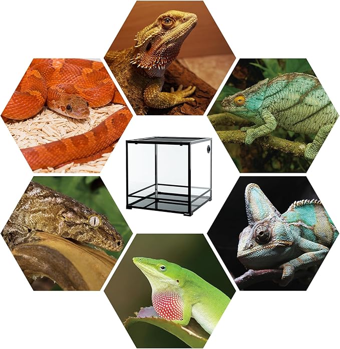 REPTIZOO 60 Gallon Glass Reptile Tank, 24" x 24" x 24" Large Reptile Terrarium Front Opening Terrarium with Double Hinge Door and Top Screen Ventilation, Easy Assembly Reptile Enclosure Tank