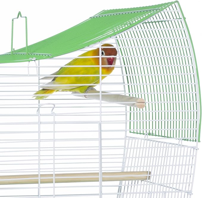 Prevue Pet Products South Beach Wave Top Bird Cage, Lime Green (SP50081)