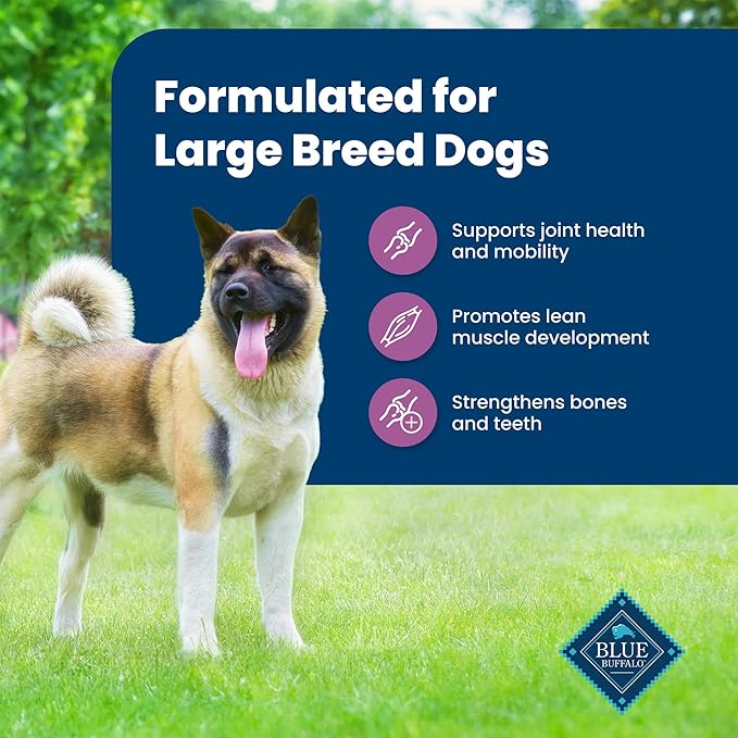 Blue Buffalo Life Protection Formula Large Breed Adult Dry Dog Food, Promotes Joint Health and Lean Muscles, Made with Natural Ingredients, Lamb & Brown Rice Recipe, 34-lb. Bag