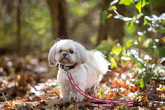 Pets First NHL Montreal Canadiens Leash for Dogs & Cats, Medium. - Walk Cute & Stylish! The Ultimate Hockey Fan Leash!, 4 ft Long x 0.62 in Width, CAN-3031-MD