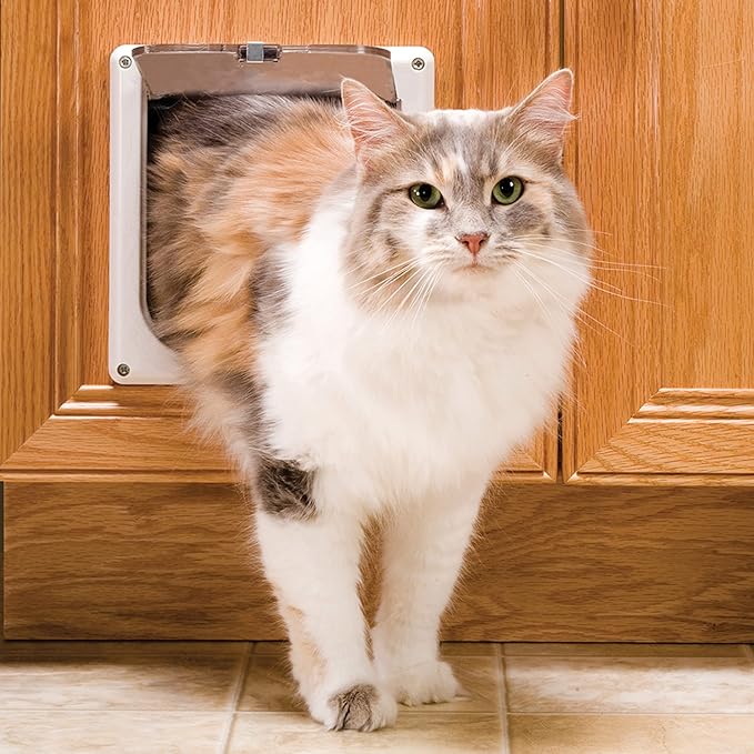 PetSafe Interior Cat Door: 2-Way Locking, Indoor Pet Door Flap - Tinted Privacy Door for Cat Litter Box or Pet Feeder, Built-In Door Lock, Durable Door Frame, DIY Easy Install, Hardware Kit Included