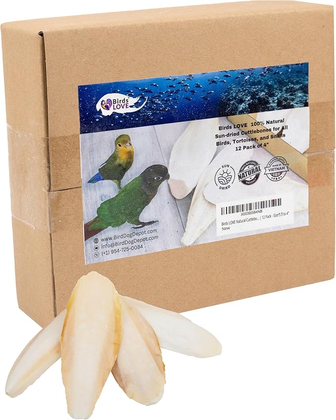Birds LOVE Natural Cuttlebone – Premium Calcium & Trace Mineral Supplement for Avian Species, Tortoises, and Snails – Pure Cuttlebone for Parakeets and All Birds - 12 Pack, Size 3.5 to 4"