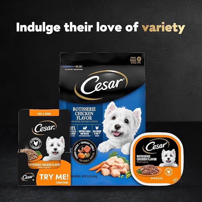 Cesar Filets in Gravy Wet Dog Food Rotisserie Chicken Flavor, 1.76 oz. Mini-Pouch, 20 Pack