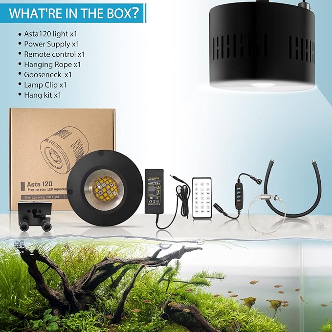 Lominie Aquarium LED Light 10 Gallon Fish Tank Light Timer Clip on Aquarium Light Full Spectrum 80W 6500k for Freshwater Refugium Cube Tank with Gooseneck