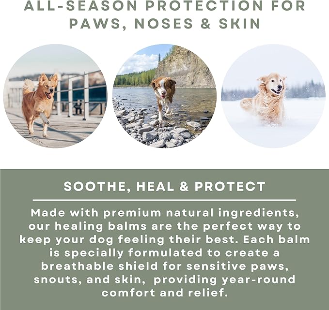 Dog Care Kit - Healing Dog Paw Pad Balm + Snout Soother for Dogs + Skin Soother - Relieves Pain, Nourishes and Heals - For Dry, Irritated Paws, Noses and Skin - Lick-Safe - Made in the USA
