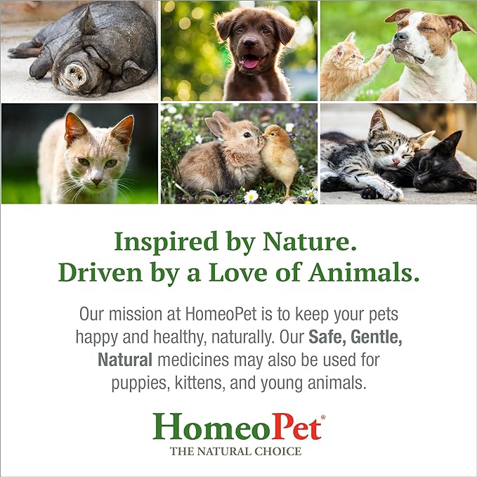 HomeoPet Digestive Upsets, Natural Pet Digestive Support, Digestive Supplement for Dogs, Cats, and Small Pets, 15 Milliliters