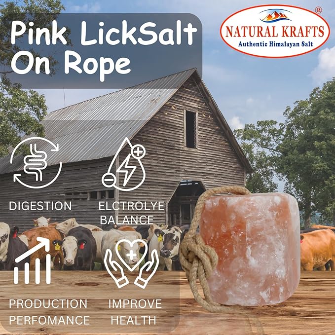 Himalayan Salt Lick on Ropes for Animals - All Natural Pure Mineral Block - Himalayan Salt Block for Deer, Salt Block for Horses, Cows, and Other Livestock - 2.5 lbs Each Pack of 6