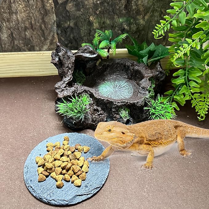 Reptile Feeding Bowl Resin Turtle Food Water Dish Tank Decor Basking Climbing Platform with Feeding Cleaning Tools for Lizard Gecko Chameleon Frog Beared Dragon Spider