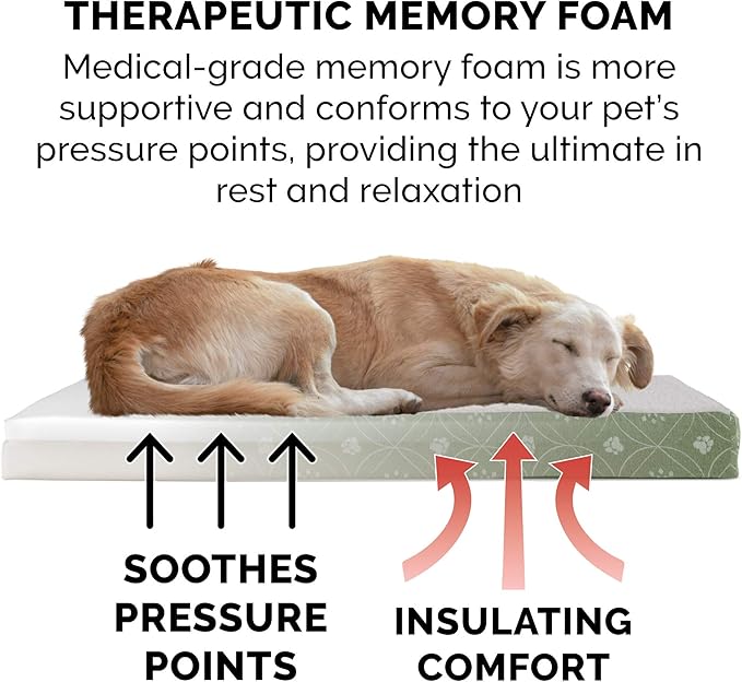 Furhaven Memory Foam Dog Bed for Small Dogs w/ Removable Washable Cover, For Dogs Up to 20 lbs - Sherpa & Flannel Paw Print Deluxe Mattress - Jade Green, Small