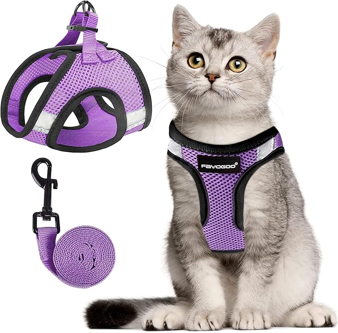 Cat Harness, Cat Leash and Harness Set for Walking Escape Proof, Harness for Small Cats/Small Dogs, Large Kitten/Puppy Harness and Leash, Harness for Cats S-XXL(Modern Violet, Medium)