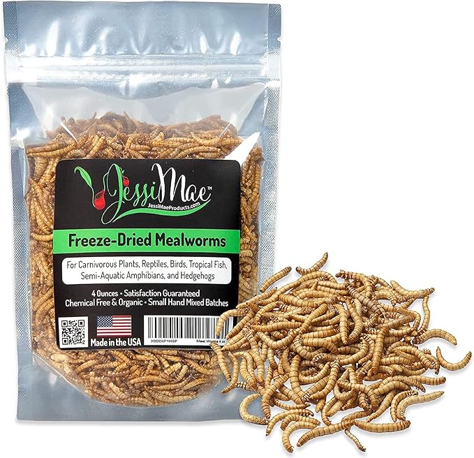 Freeze Dried Mealworms - Natural Protein Meal Supplement for Chickens, Birds, Venus Fly Trap, Reptiles, Hedgehogs and More - Carnivorous Plant Food - 4 OZ