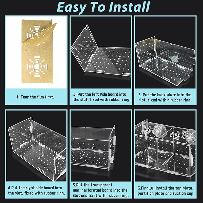 PINVNBY Acrylic Fish Breeding Box，Guppy breeding Box Acrylic Fish Isolation Box Aquarium Incubator with Suction Cups for Guppy Shrimp Small Baby Fishes(10 * 10 * 20CM)