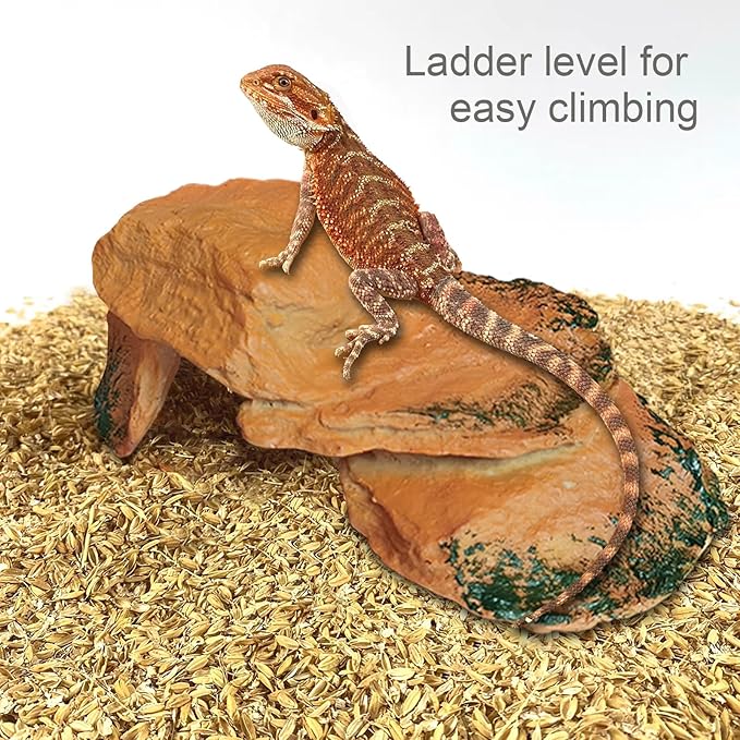 Rock Hideout Caves for Reptile and Amphibians,Decorative Resin for Glass Terrarium Tank, Great for Reptiles