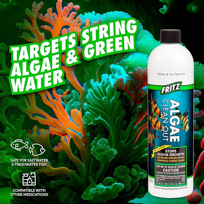 Fritz Aquatics Algae Clean Out - Algaecide for Fresh and Salt Water Aquariums, 16 oz