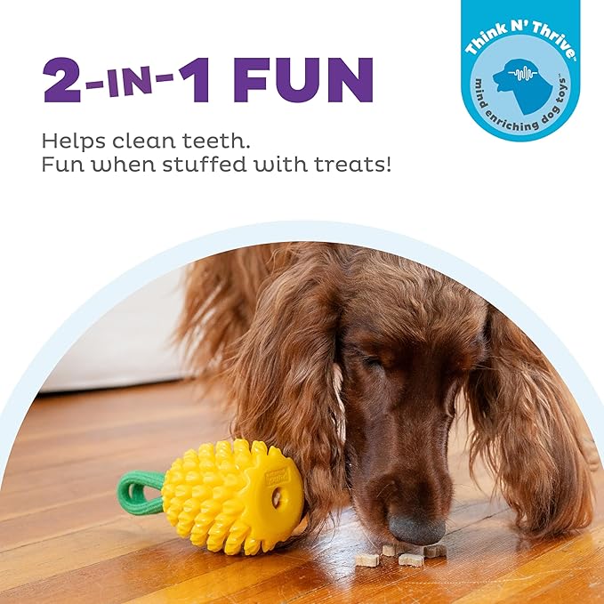 Outward Hound Dental Pineapple Dental Chew Toy and Interactive Treat Stuffer Durable Dog Toy Stuffable Dog Toy, Yellow