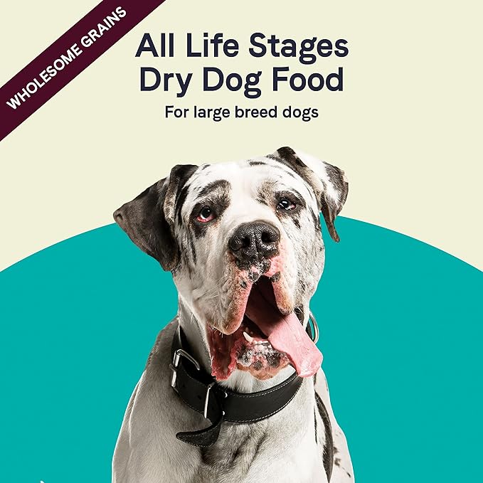 CANIDAE? All Life Stages Large Breed Formula with Turkey Meal & Brown Rice Dog Dry 27 lb.