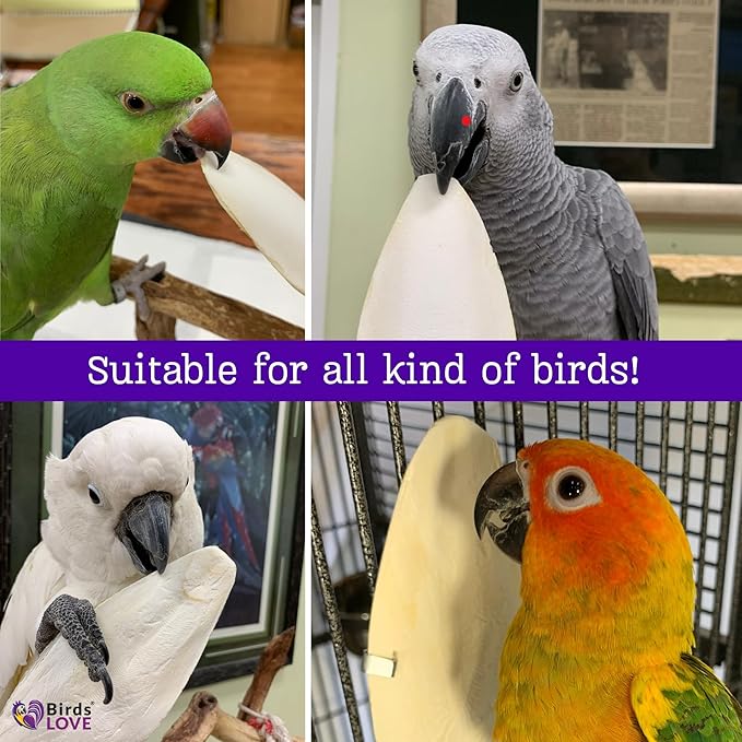 Birds LOVE Natural Cuttlebone – Premium Calcium & Trace Mineral Supplement for Avian Species, Tortoises & Snails – Pure Cuttlebone for Parakeets, Cockatiels, All Birds - 2 Packs of 4, Size 3.5 to 4"