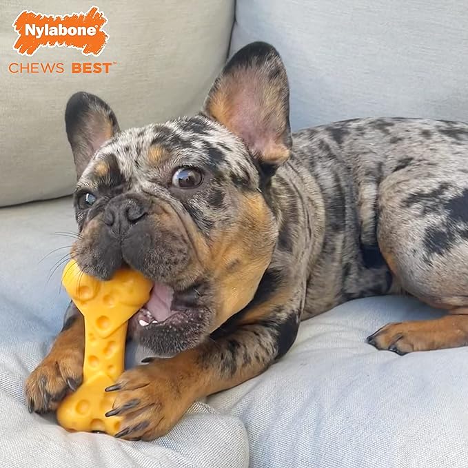 Nylabone Power Chew Cheese Dog Chew Toy - Fun & Cute Dog Toys for Aggressive Chewers - Durable Dog Toys - X-Large/Souper (1 Count)