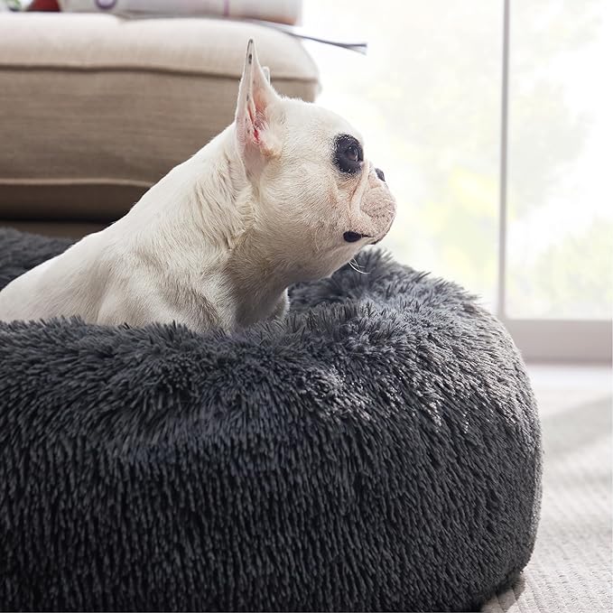 Bedsure Calming Dog Bed for Medium Dogs - Donut Washable Medium Pet Bed, 30 inches Anti-Slip Round Fluffy Plush Faux Fur Cat Bed, Fits up to 45 lbs Pets, Dark Grey