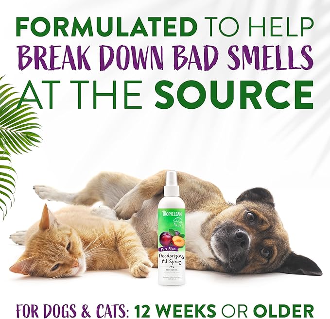TropiClean Pure Plum Dog Perfume Spray Long Lasting | Naturally Derived Odor Removing Dog Deodorizing Spray | Cat Friendly | Made in USA | 8 oz.