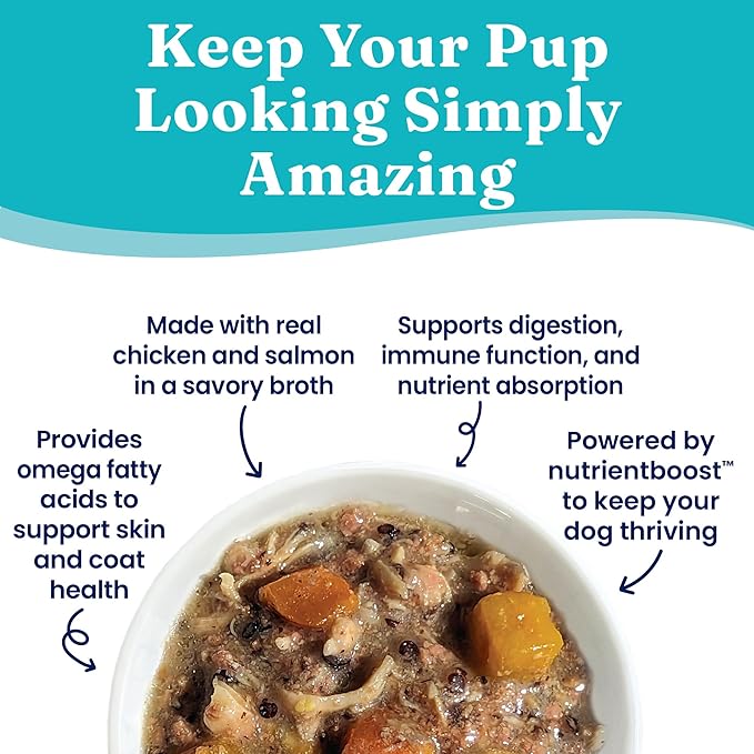 Solid Gold WET FUNCTIONAL DOG, SKIN & COAT, CHICKEN & SALMON, 3.5oz Pack of 6
