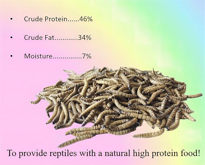 3.5oz Superworms - High Protein Reptile & Amphibian Food, Freeze-Dried for Maximum Nutrition