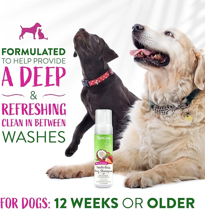 TropiClean Berry Coconut Waterless Dog Shampoo | Deep Cleansing Dry Shampoo for Dogs | Natural Dog Shampoo Derived from Natural Ingredients | Made in The USA | 7.4 oz.