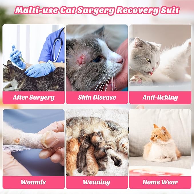 Cat Recovery Suit for Abdominal Wounds or Skin Diseases, Cat Onesie for Cats After Surgery Female Kitten Recovery Suit, Breathable E-Collar Alternative for Cats After Spay Anti Licking Wounds