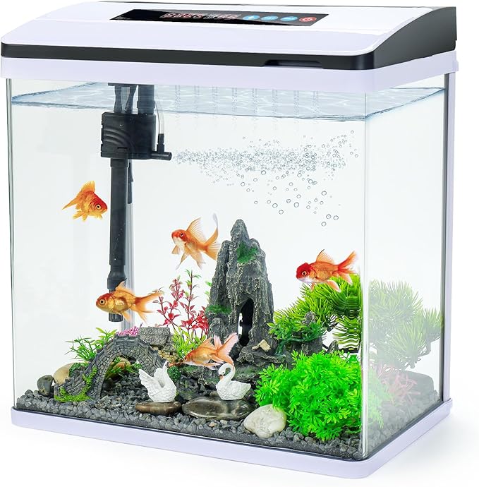 6 Gallon Glass Aquarium Fish Tank Starter Kit with Temperature and Time Display for Betta Fish Featuring Crystal Clear 360° Viewing, Eco-Cycle Filtration, Air Pump