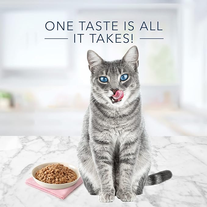 Blue Buffalo Tastefuls Natural Tender Morsels Wet Cat Food, Chicken Entrée 5.5-oz cans (Pack of 24)