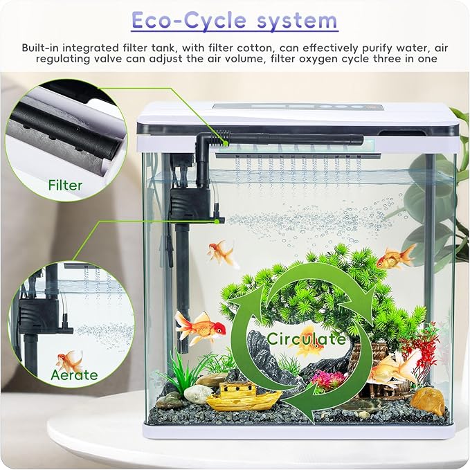 6 Gallon Glass Aquarium Fish Tank Starter Kit with Temperature and Time Display for Betta Fish Featuring Crystal Clear 360° Viewing, Eco-Cycle Filtration, Air Pump